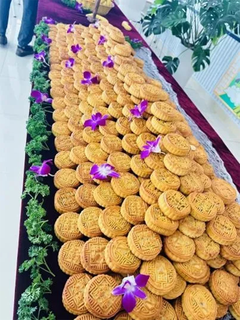 1726854282993130.jpg 9.jpg