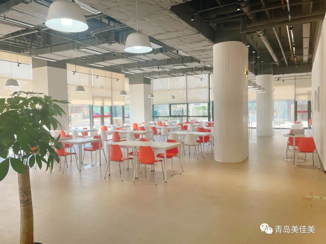 1733449215708311.jpg 7.jpg